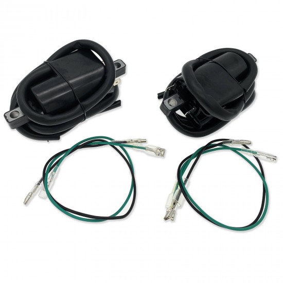 2 Ignition Coils w/ Spark Plug Caps For 30501-300-003 Honda CB550F CB550K/350F